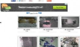 实况最近爆料视频大全下载,最新热点一网打尽