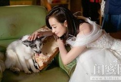 宋茜爆料结局视频大全集,揭秘视频大全集背后的惊人真相