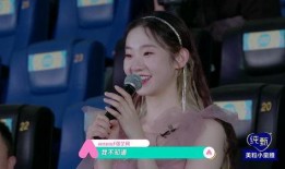 张艺凡娱乐爆料事件,真相与争议交织