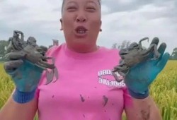 东北雨姐爆料视频,揭秘幕后真相