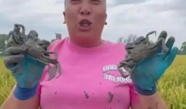 东北雨姐爆料视频,揭秘幕后真相