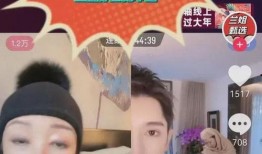 张兰爆料婚内出轨视频,真相与争议