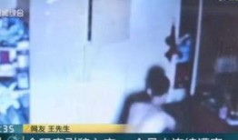 引狼入室 在线观看