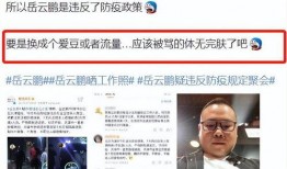 岳云鹏爆料者视频,背后真相令人震惊