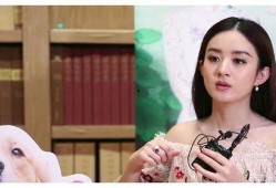 卓伟曾爆料过哪些娱乐圈大瓜