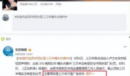 小杨哥最近爆料视频,揭秘娱乐圈惊人内幕