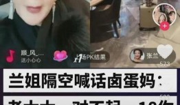 张兰爆料婚内出轨视频,真相与争议