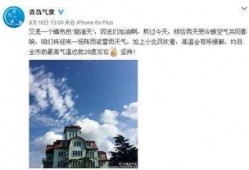 今日青岛爆料最新消息,揭秘神秘事件背后的真相