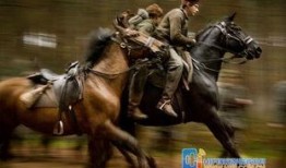 《战马》电影在线观看,跨越时空的传奇，见证生命的坚韧与勇气