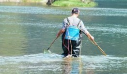 东风水库爆料视频最新版,揭秘水库神秘面纱背后的惊人真相