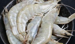 厄瓜多尔虾爆料视频大全,揭秘视频大全背后的真相与争议