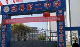 爆料邯郸二中事件视频播放,真相与争议交织