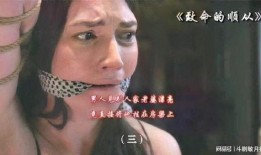 致命的顺从在线观看,揭秘人性深渊的惊悚之旅