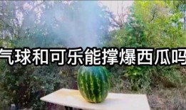 可乐爆料西瓜视频,西瓜视频背后的秘密大揭秘！