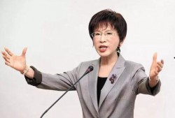 洪秀柱爆料视频大全集最新,揭秘政坛风云与幕后真相