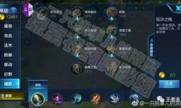 王者小菜鸡爆料视频大全,揭秘游戏幕后趣闻与精彩瞬间