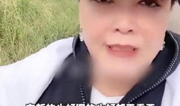 张兰爆料婚内出轨视频,真相与争议