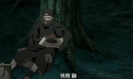 晓鼬技能爆料视频大全最新