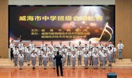 新闻大爆料音乐大全,音乐大全揭秘，热门歌曲背后的故事与幕后花絮