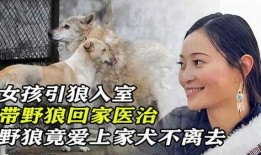 引狼入室 在线观看