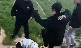 爆料邯郸二中事件视频播放,真相与争议交织