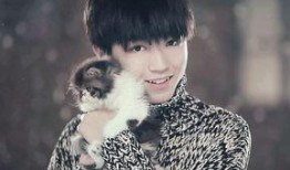 黄子韬爸妈爆料视频大全,揭秘星二代成长幕后故事