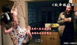 致命的顺从在线观看,揭秘人性深渊的惊悚之旅