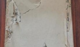 临沂探店爆料视频最新,网红美食地图再升级，独家探店爆料来袭！