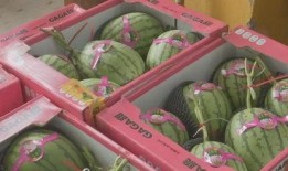 网红戈优吃瓜1块钱,一元揭秘娱乐圈幕后真相