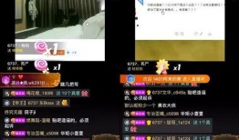 新城最新爆料事件视频大全,事件视频大全深度解析