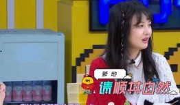 郑爽综艺视频录音爆料,娱乐圈背后的真实故事