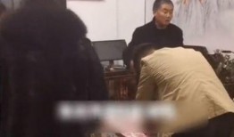 陈亚楠母亲爆料视频大全,揭开事件真相背后的惊人内幕