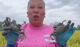 东北雨姐爆料视频,揭秘幕后真相