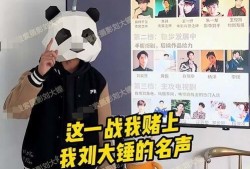 刘大锤最新爆料视频网址,揭秘事件背后惊人真相！