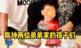 两个孩子爆料视频,两个孩子亲述家庭内幕，视频曝光惊人真相